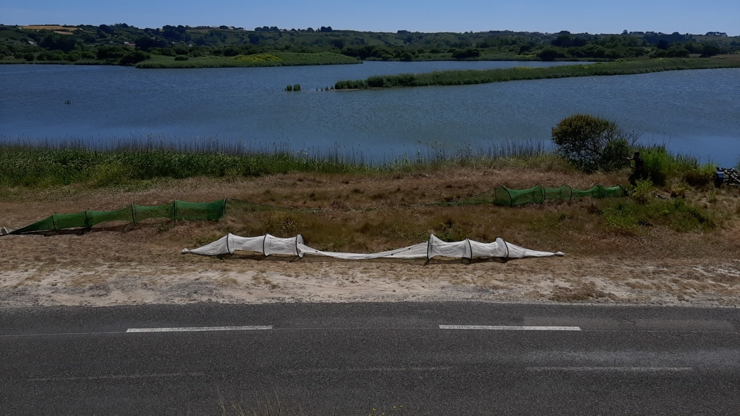 Vue générale de deux des engins de pêche utilisés (Peset, 2022)