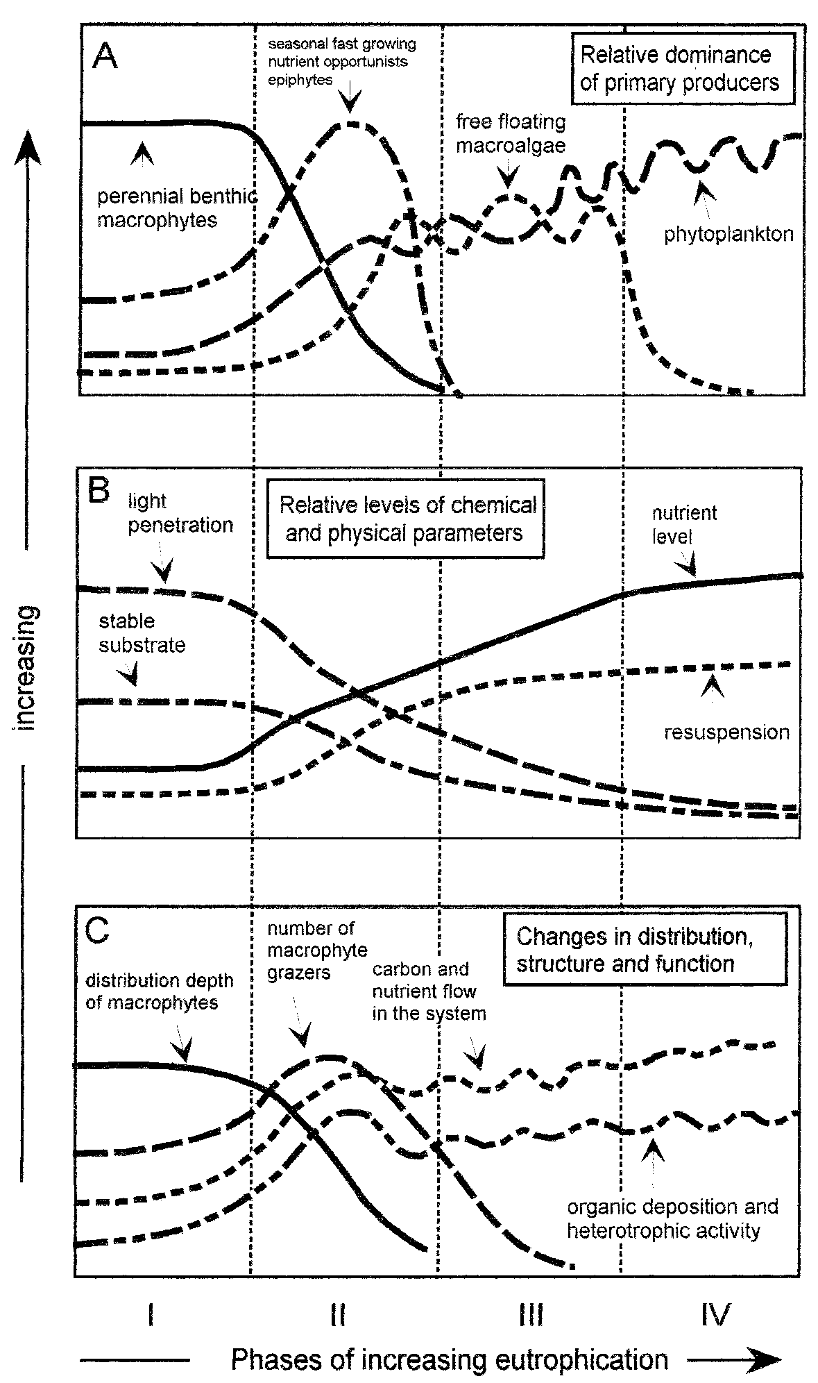 changements typiques de la dominance des producteurs primaires et de certains paramètres structurels et fonctionnels connexes pendant les phases d'eutrophisation croissante. Shramm 1999.