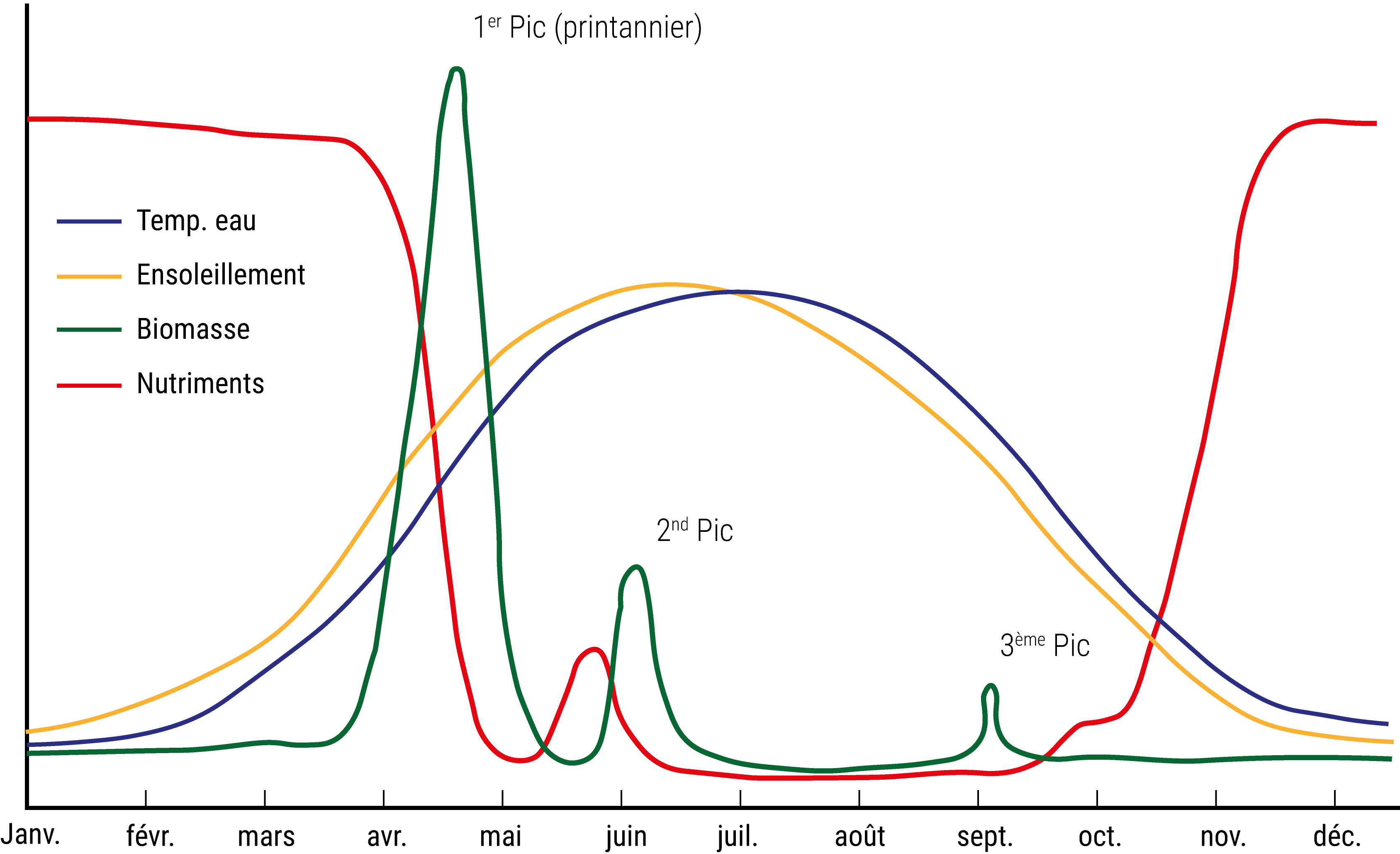 Schéma conceptuel de l’évolution saisonnière des concentrations en nutriments et de la biomasse phytoplanctonique en fonction de la température de l’eau et de l’ensoleillement dans les zones côtières non soumises à eutrophisation. D'après Daniel, 2020.